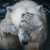 ☜Sergey☞ B.